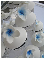 frangipani wedding-birthday cupcakes